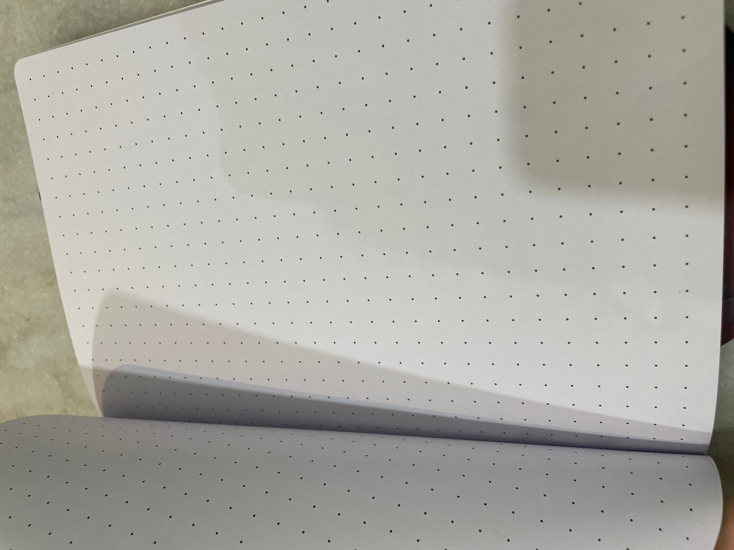 Anatomy | notebook