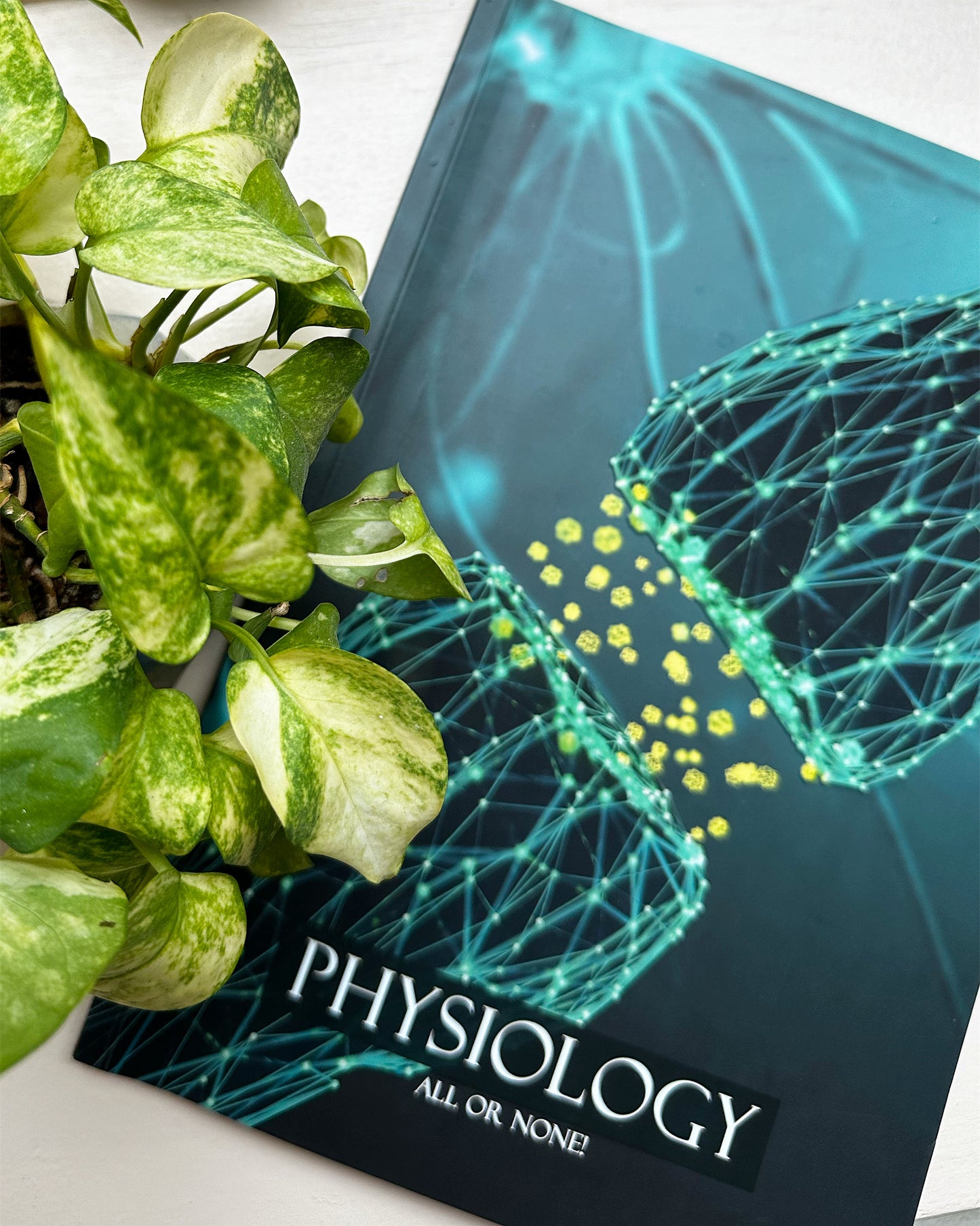 Physiology | notebook