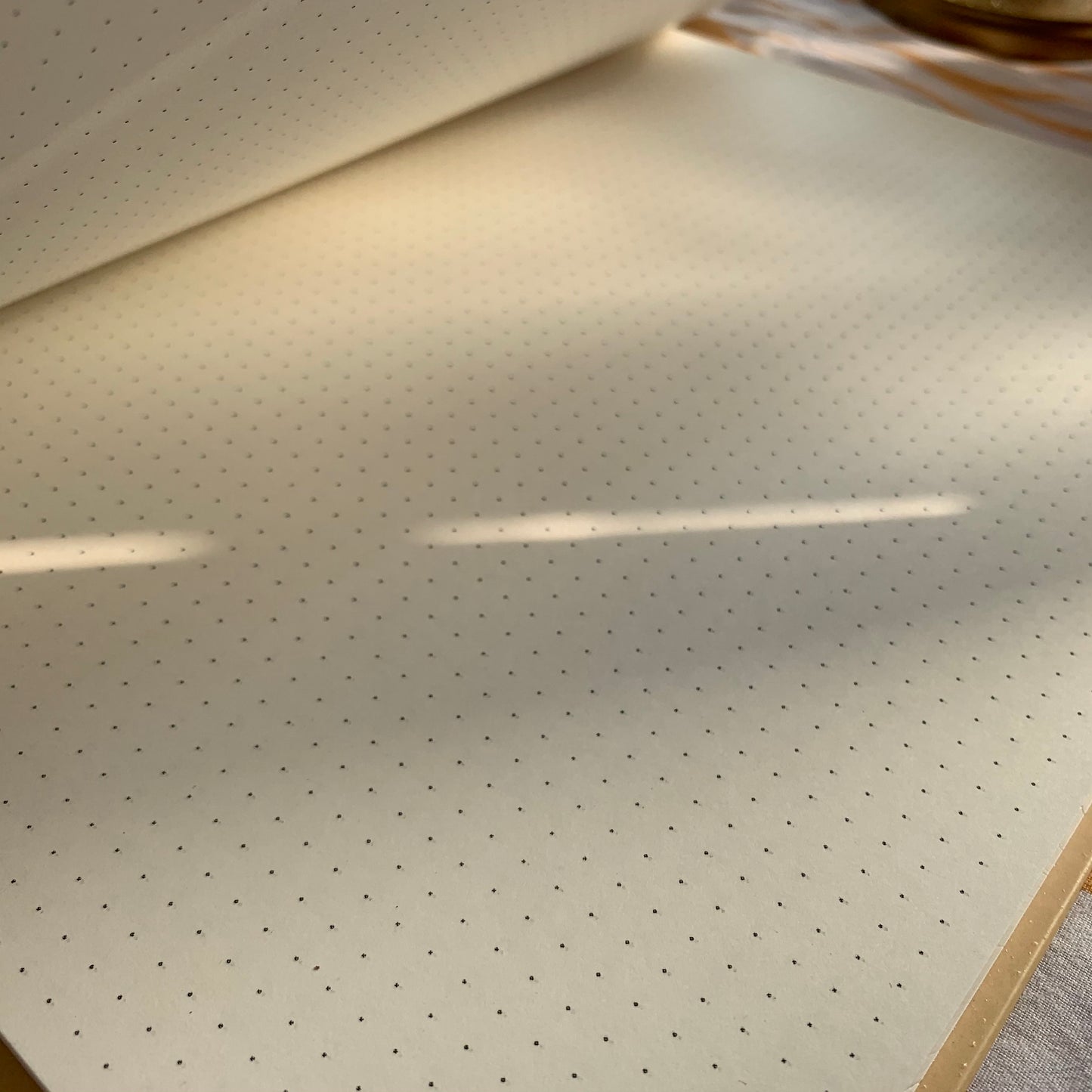Ragnar lothbrok | dotted journal