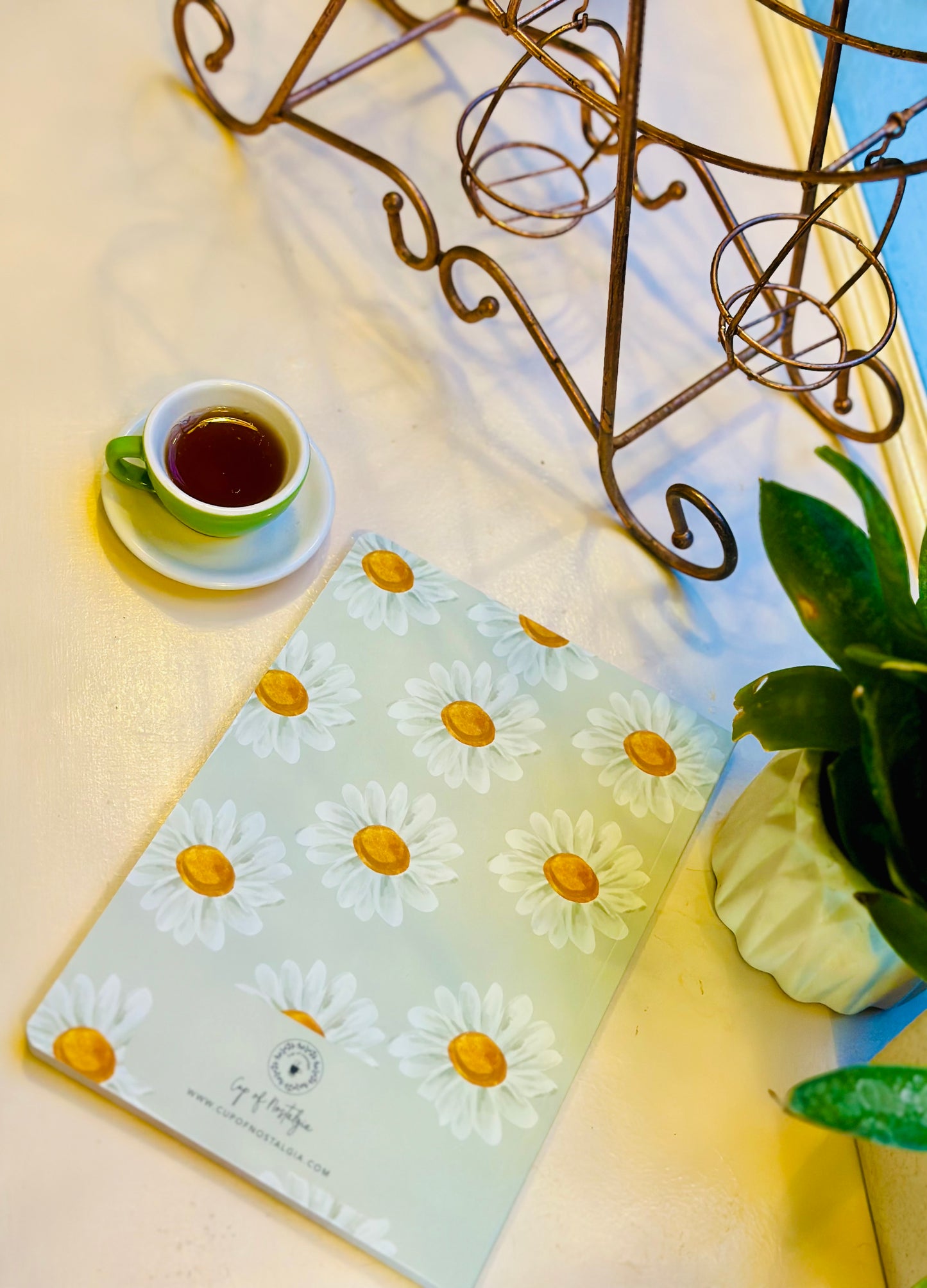 Daisies | notebook
